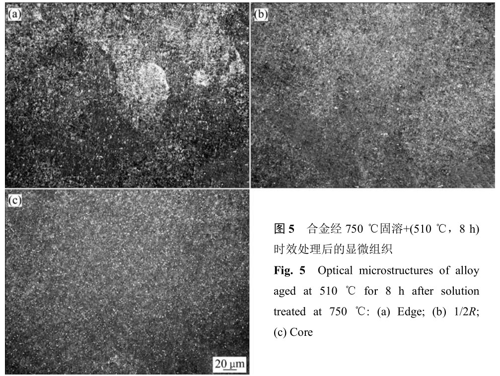 1700405089933001.jpg t5.jpg