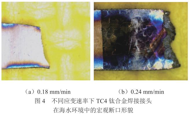 1713094138264704.jpg 360截圖1653071090125130.jpg