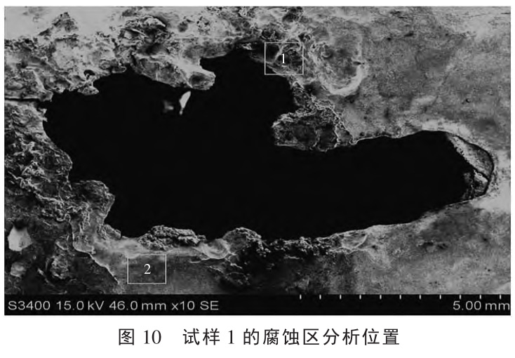 1727335542716556.jpg 10.jpg