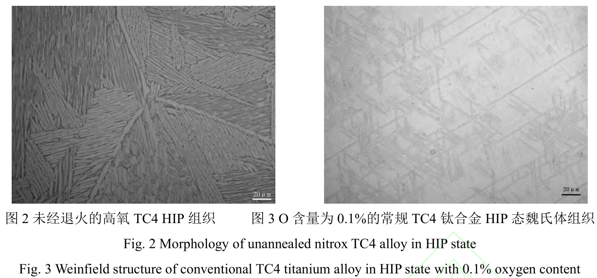 1728438339766523.jpg t2.jpg